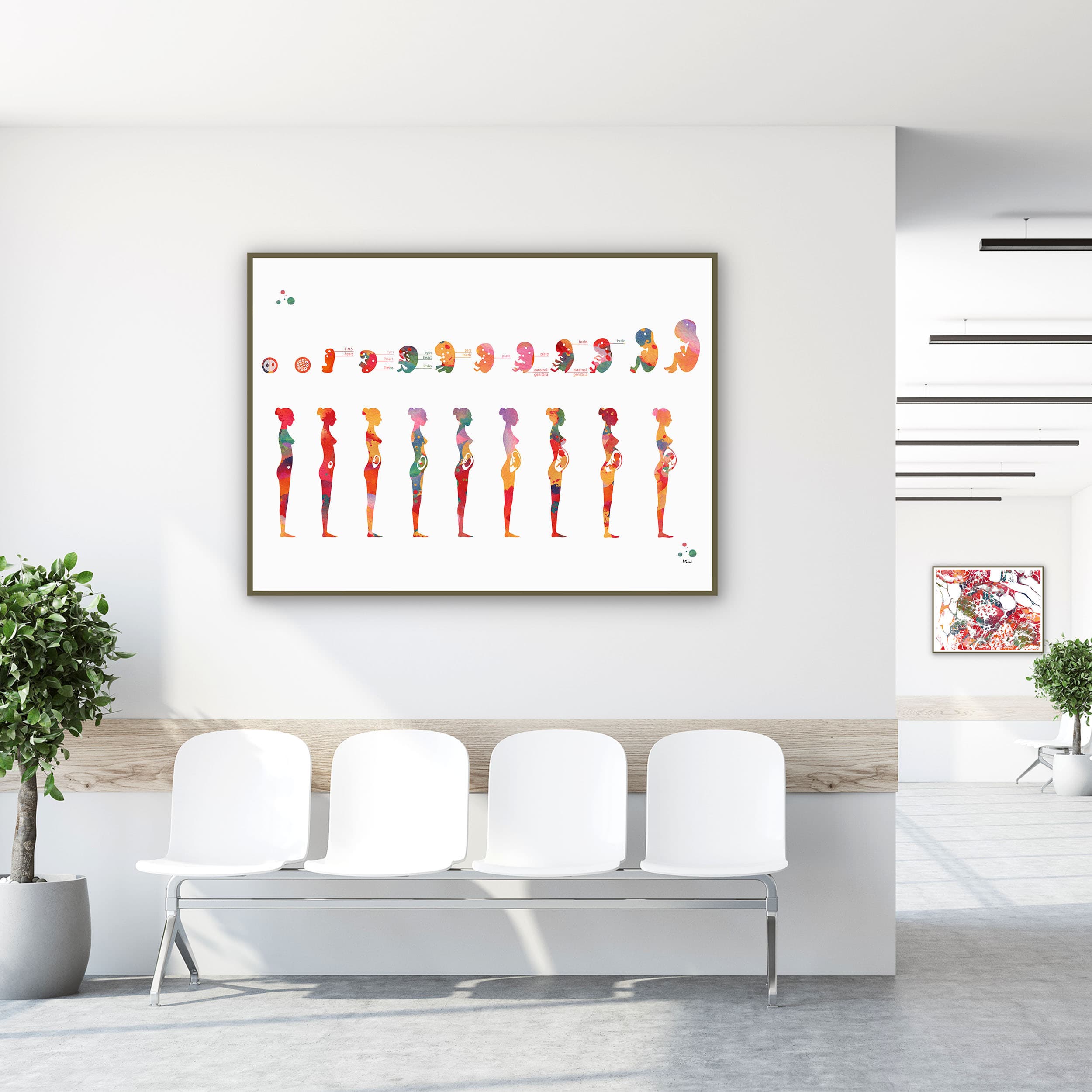Framed pregnancy phases of fetal development watercolor print in a clinic waiting room