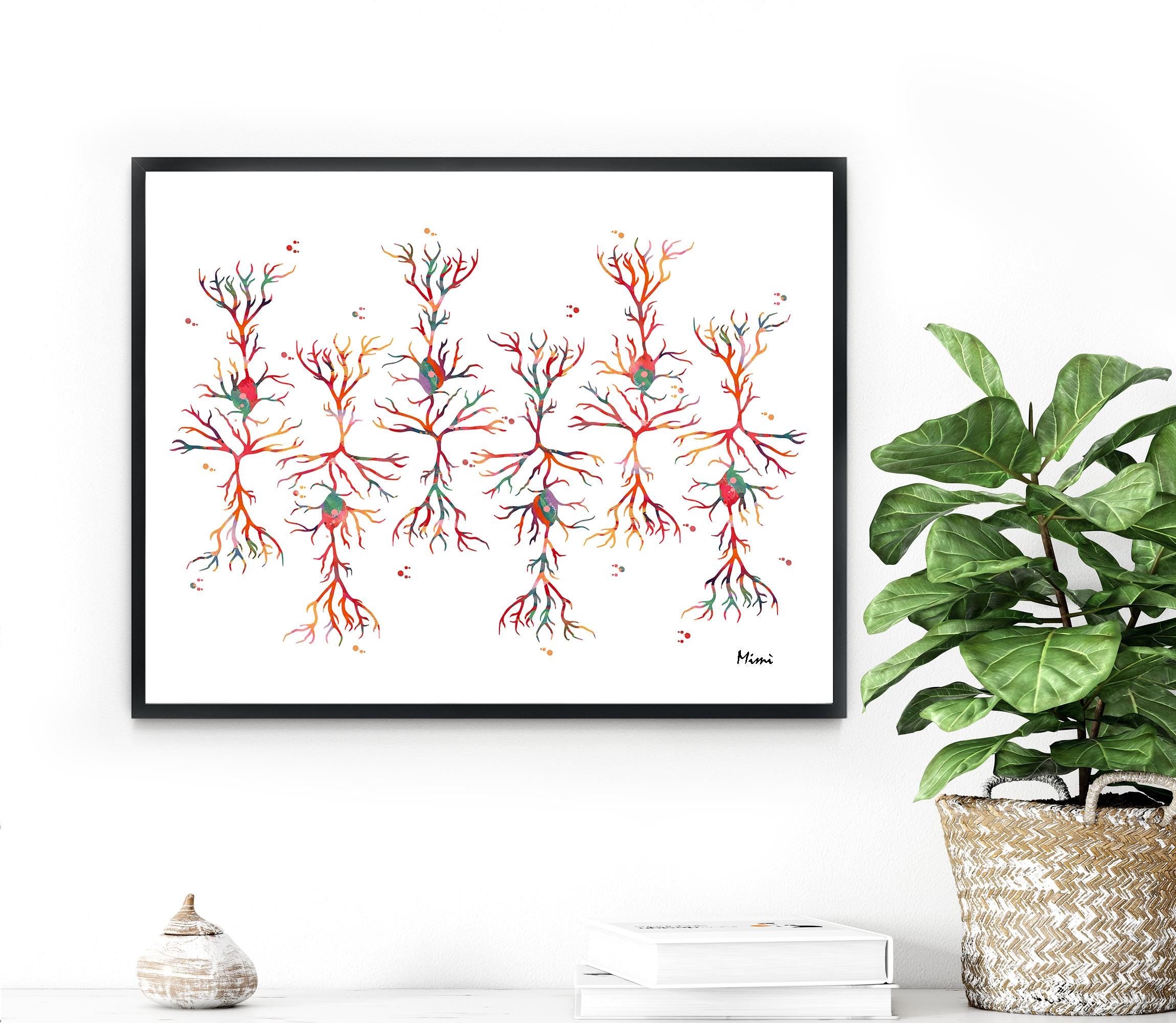 Framed artwork of a neurons print on a white wall 