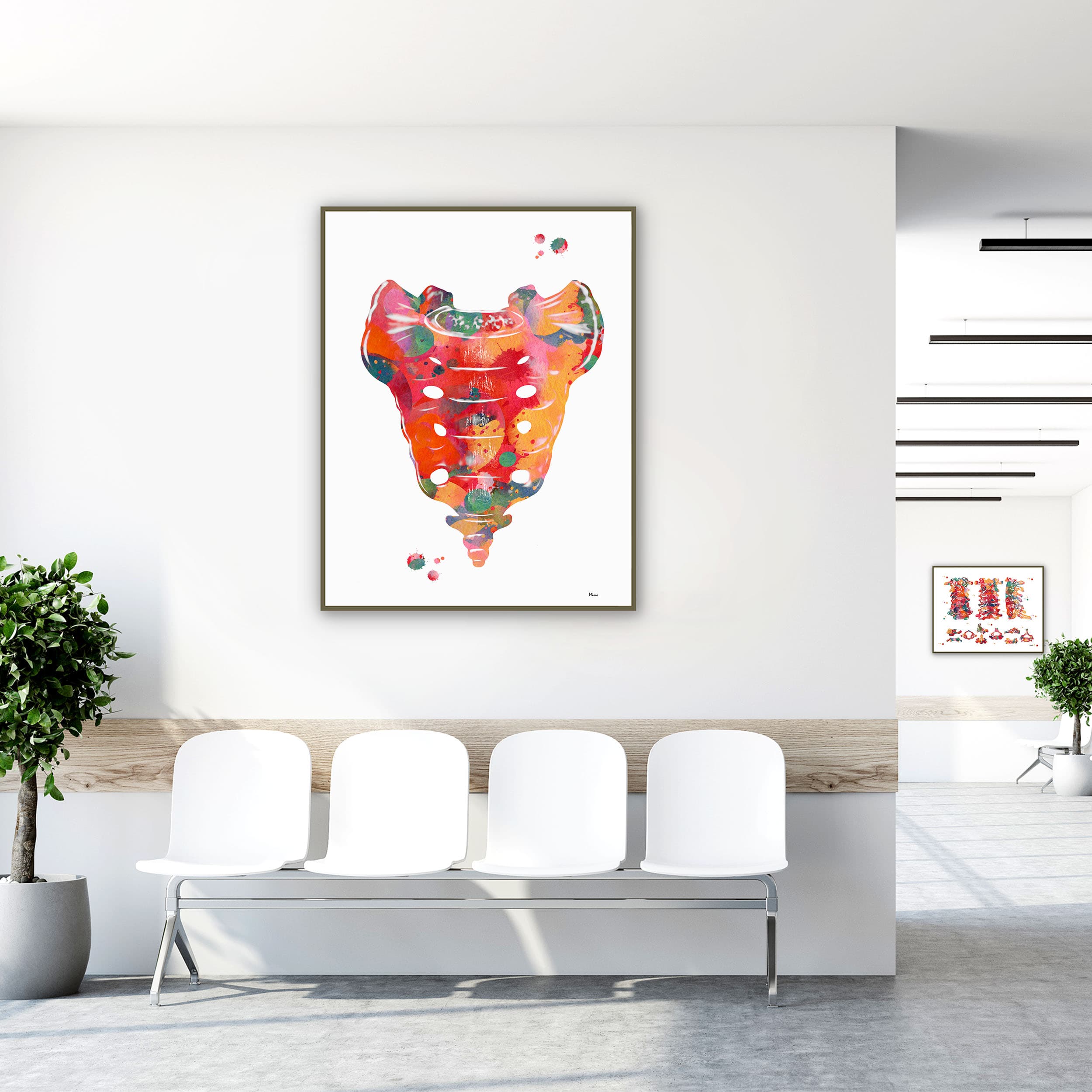 Framed sacrum bone anatomy watercolor print in a clinic waiting room