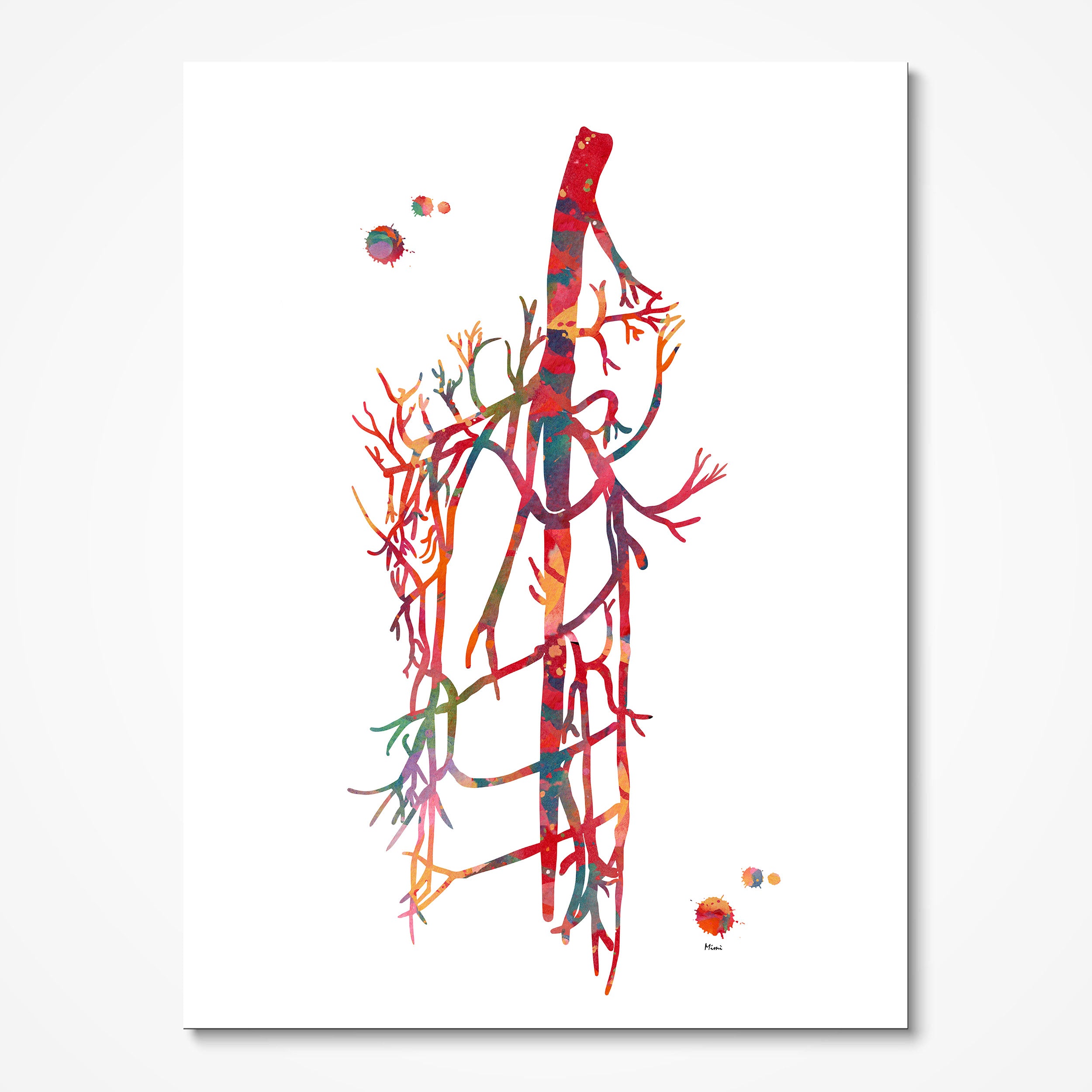 Saphenous vein & external iliac femoral artery anatomy watercolor art print print for phlebology clinic wall decor