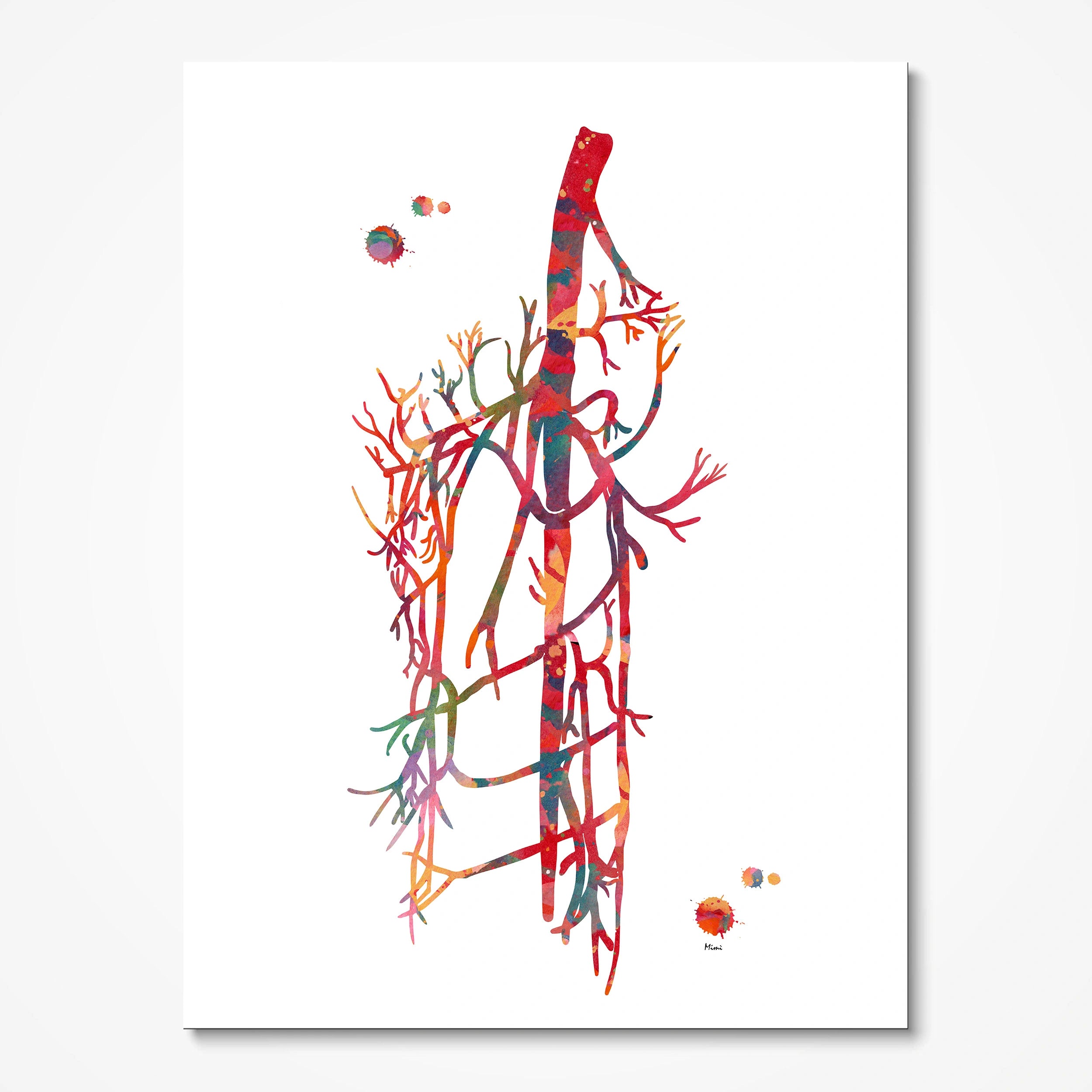 Saphenous vein & external iliac femoral artery anatomy watercolor art print print for phlebology clinic wall decor