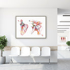 Framed scapula & clavicle watercolor print in a clinic waiting room