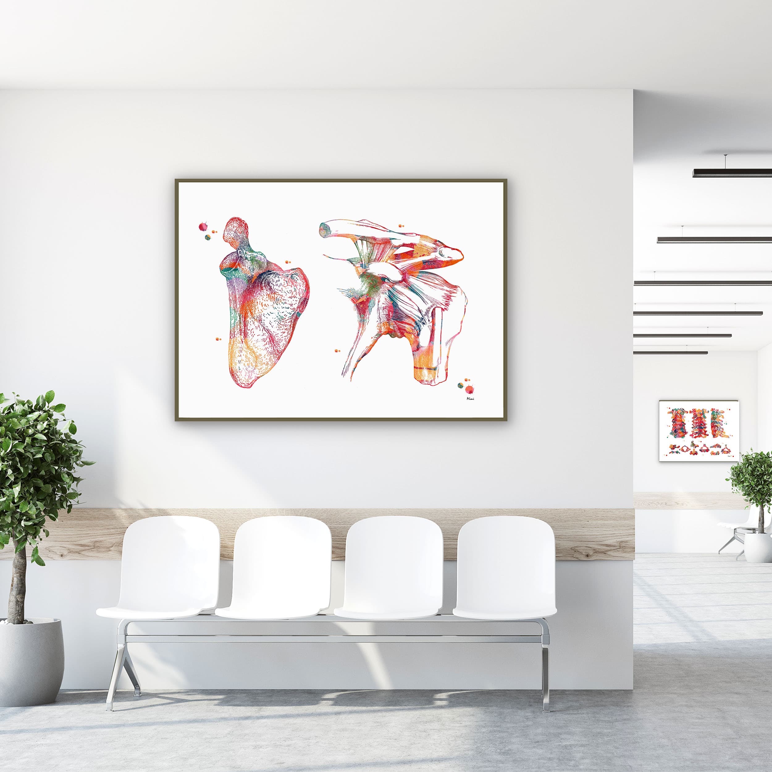 Framed scapula & clavicle watercolor print in a clinic waiting room