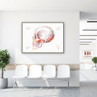 Framed skull lateral view watercolor print in a clinic waiting room