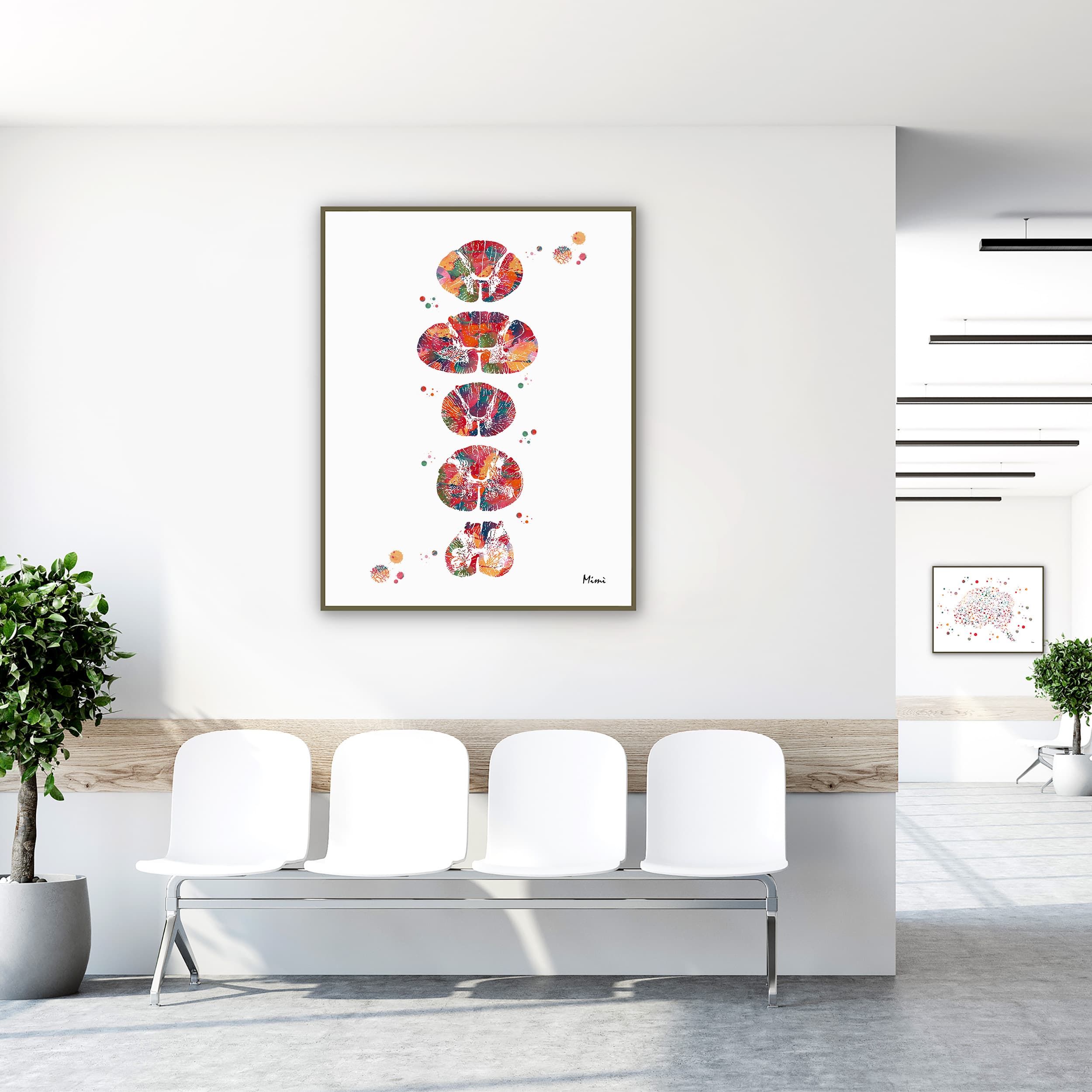 Framed spinal cord cross-section anatomy watercolor print in a clinic waiting room