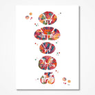 Spinal Cord Cross-Section Anatomy watercolor art print for neurology clinic wall decor