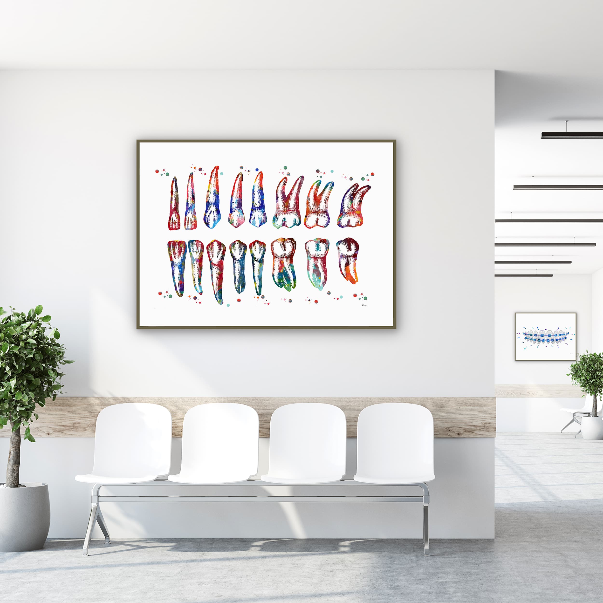 Framed teeth & roots diagram watercolor print in a clinic waiting room