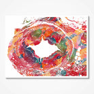 Temporal artery histology watercolor art print for angiology clinic wall decor