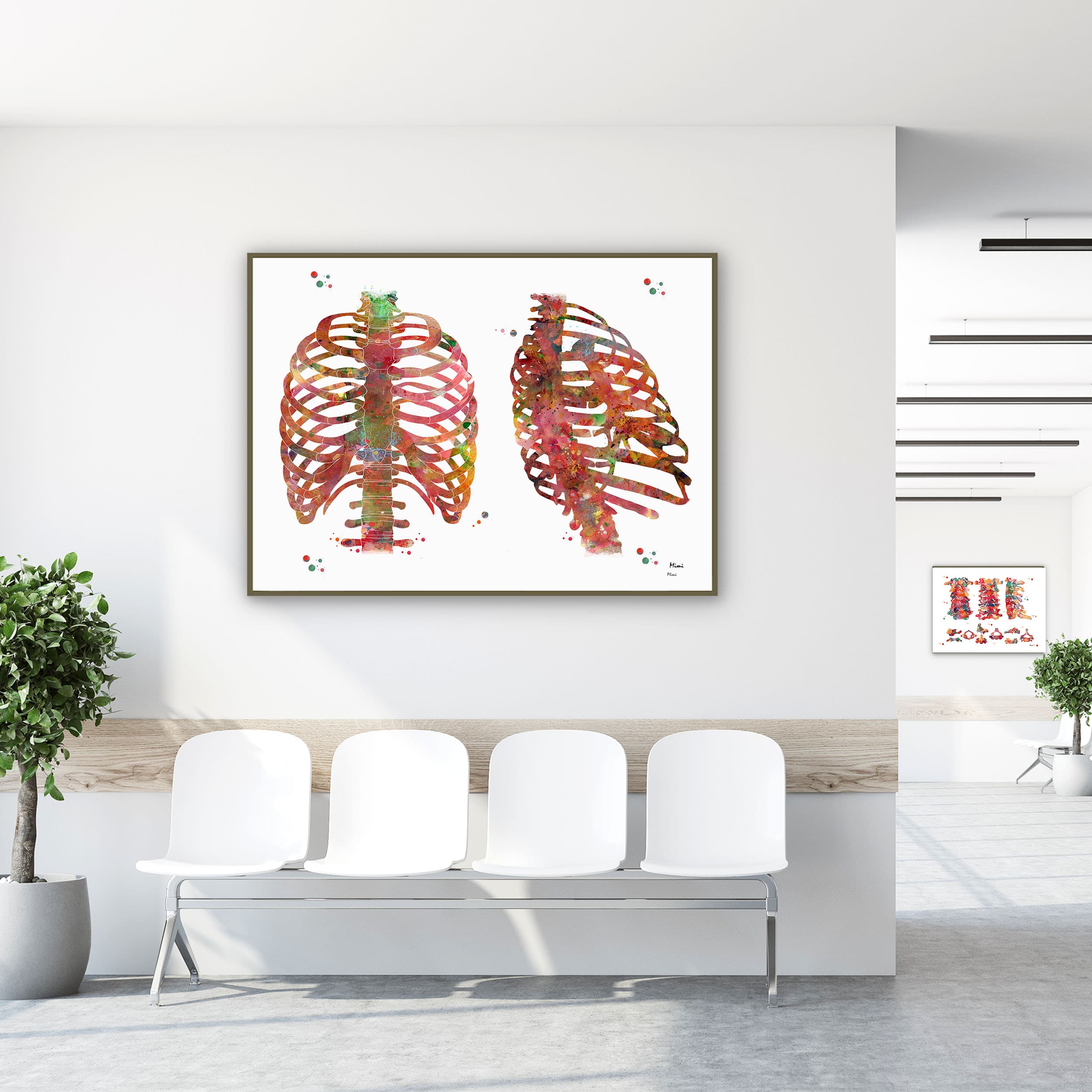 Framed thorax & rib cage watercolor print in a clinic waiting room