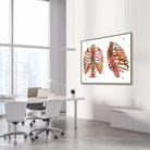 Framed thorax & rib cage watercolor print in an orthopedic clinic
