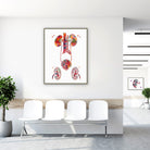 Framed urinary tract watercolor print in a clinic waiting room