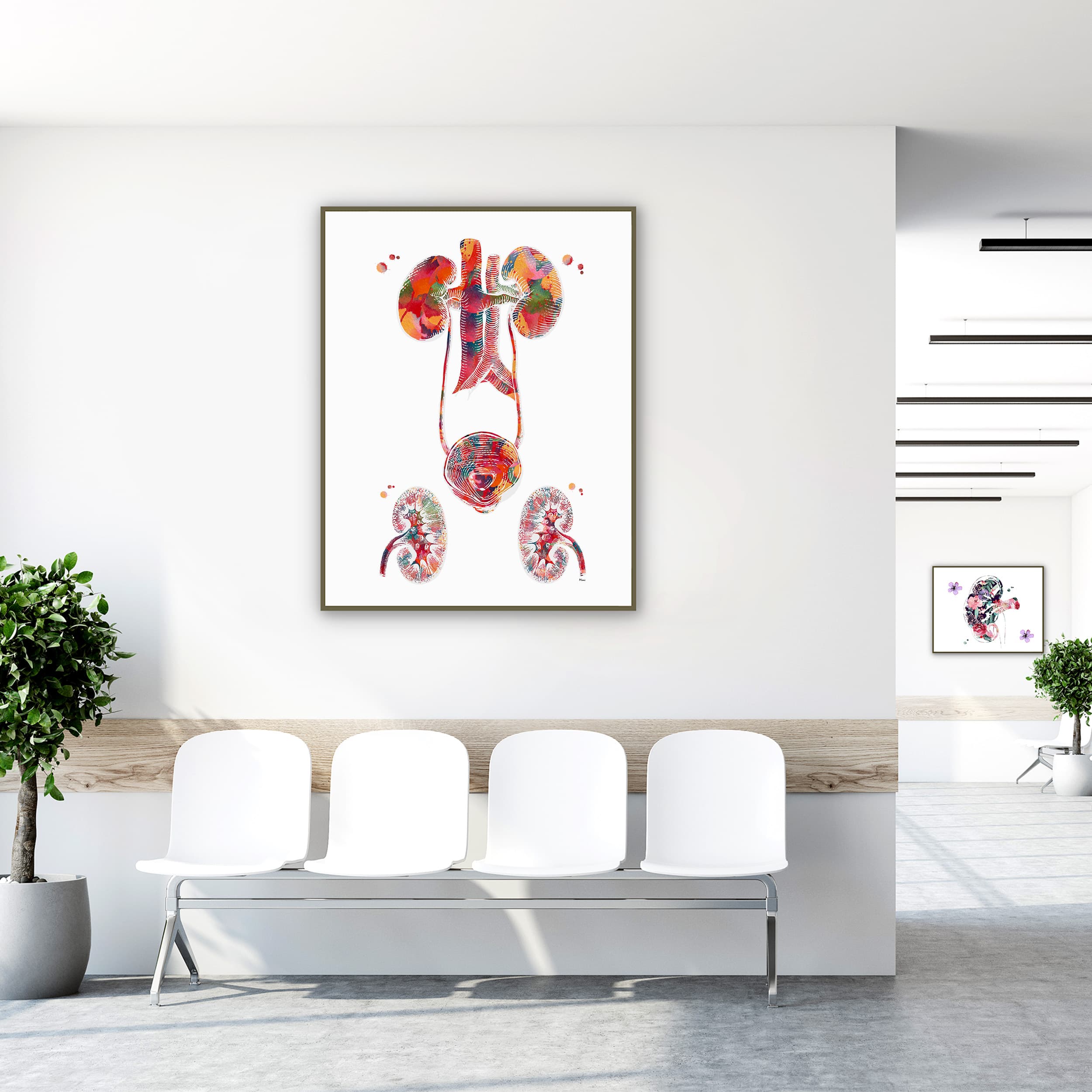 Framed urinary tract watercolor print in a clinic waiting room