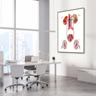 Framed urinary tract watercolor print in a nephrology clinic