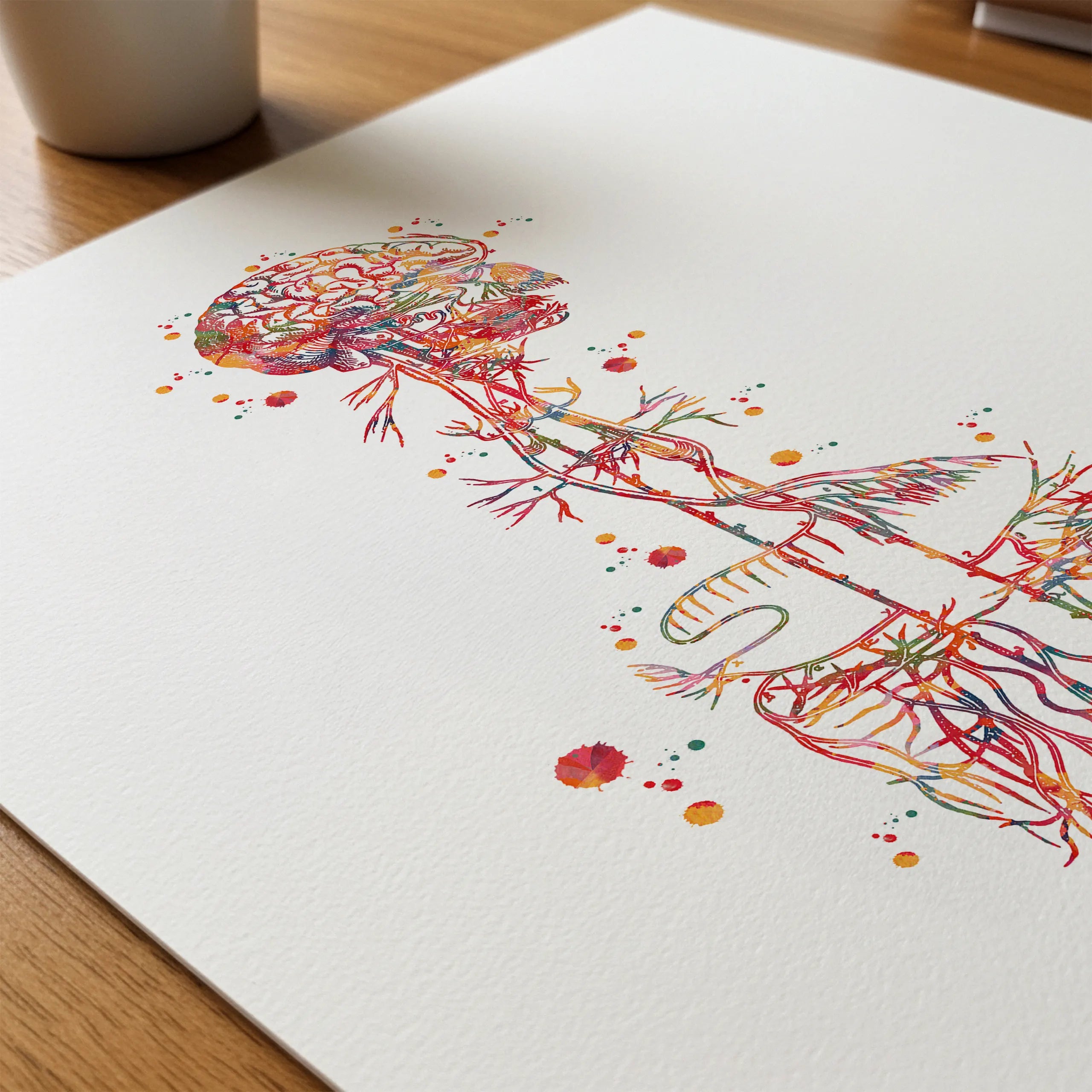 Close-up of vagus nerve anatomy watercolor print showing paper texture and grain