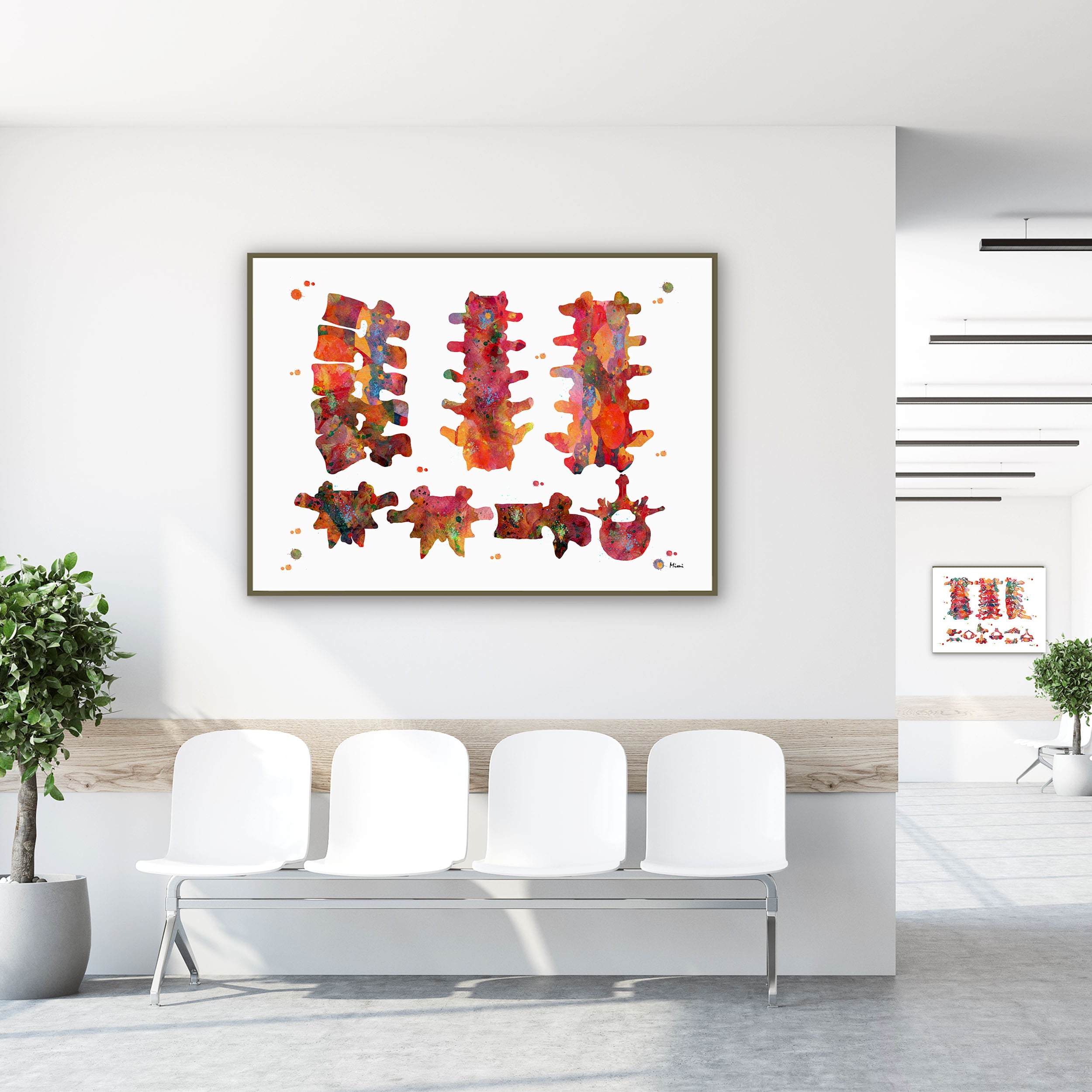 Framed vertebral bones anatomy watercolor print in a clinic waiting room
