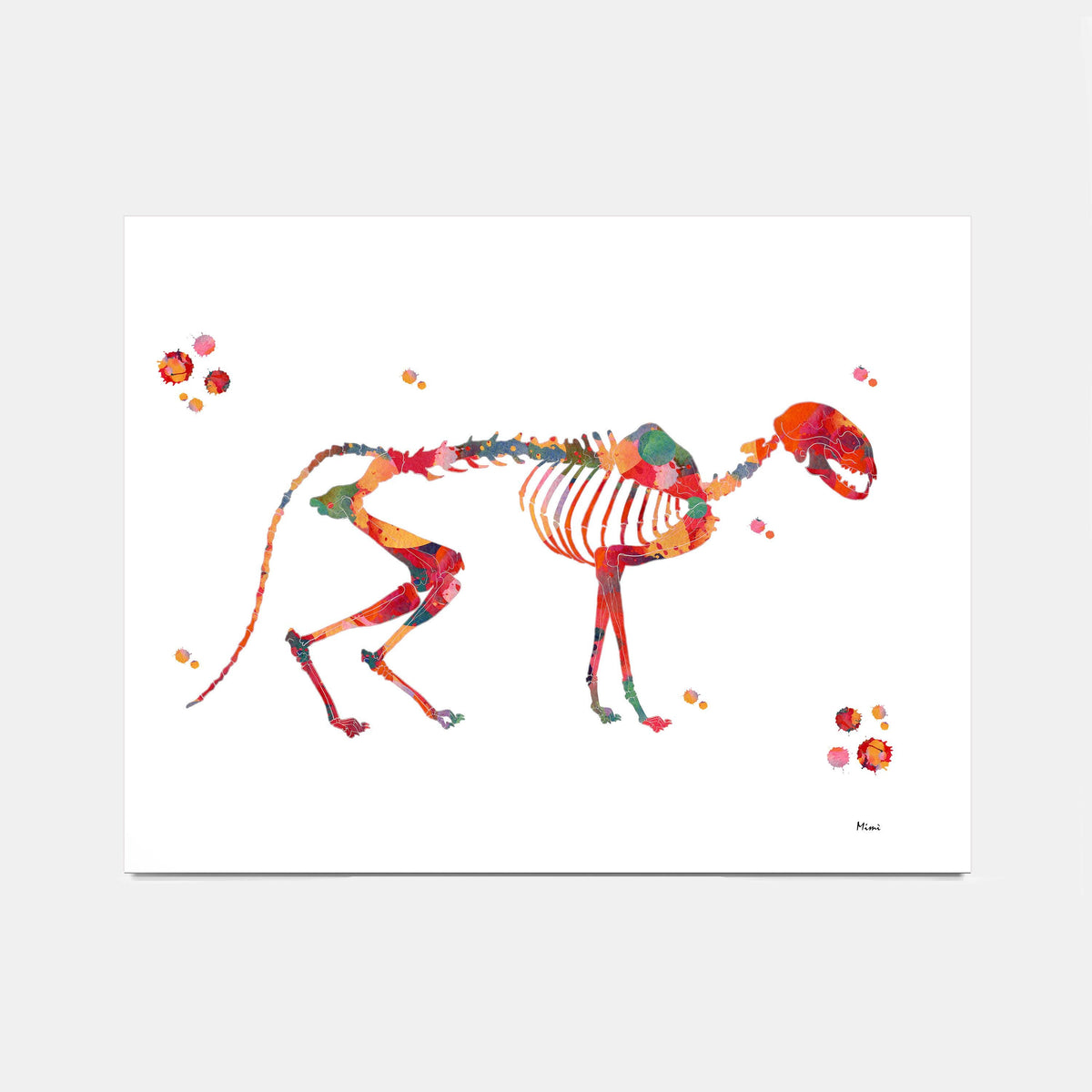 A colorful watercolor-style art print showing the cat anatomy on a white background, photographed against a light gray studio backdrop.