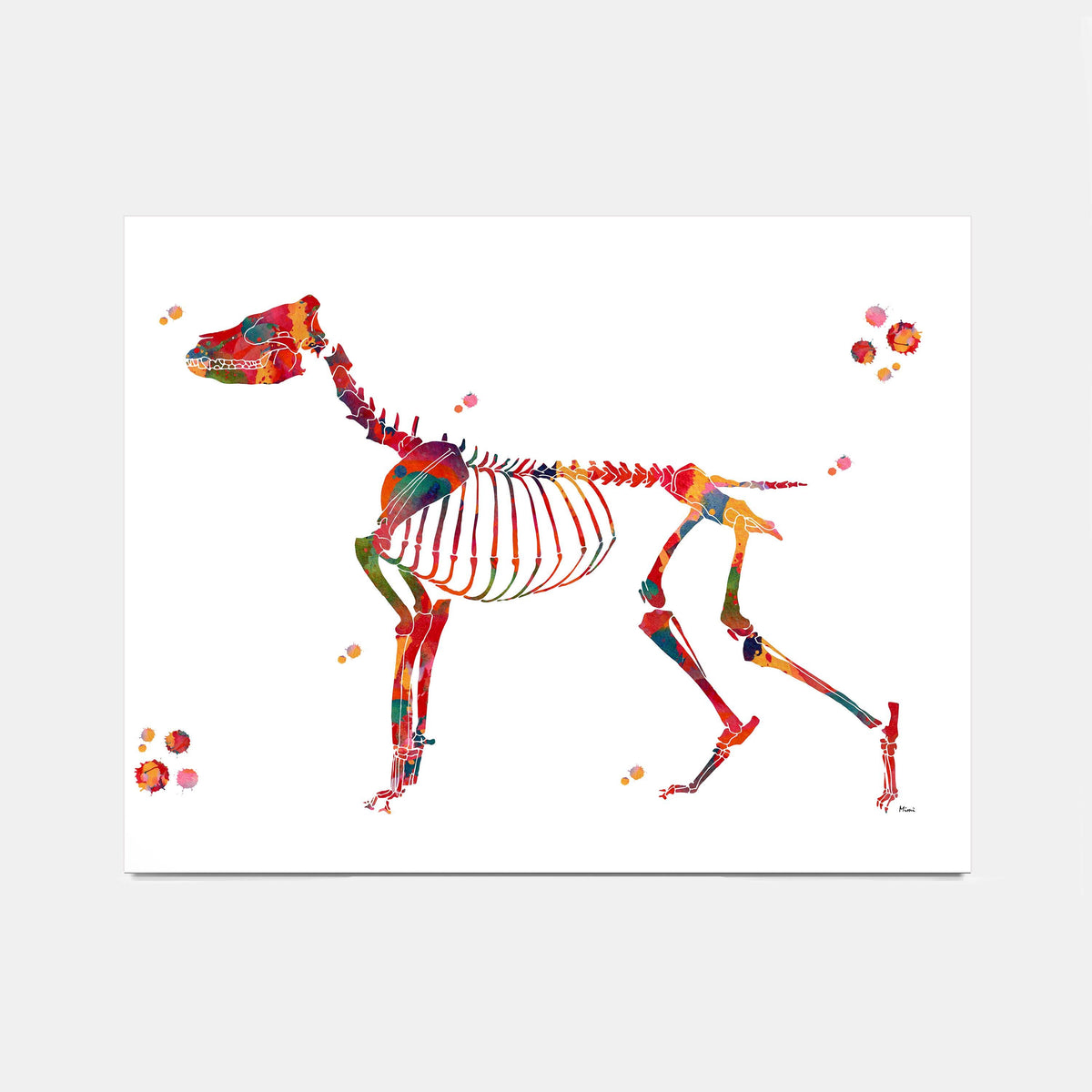 A colorful watercolor-style art print showing the dog anatomy on a white background, photographed against a light gray studio backdrop.