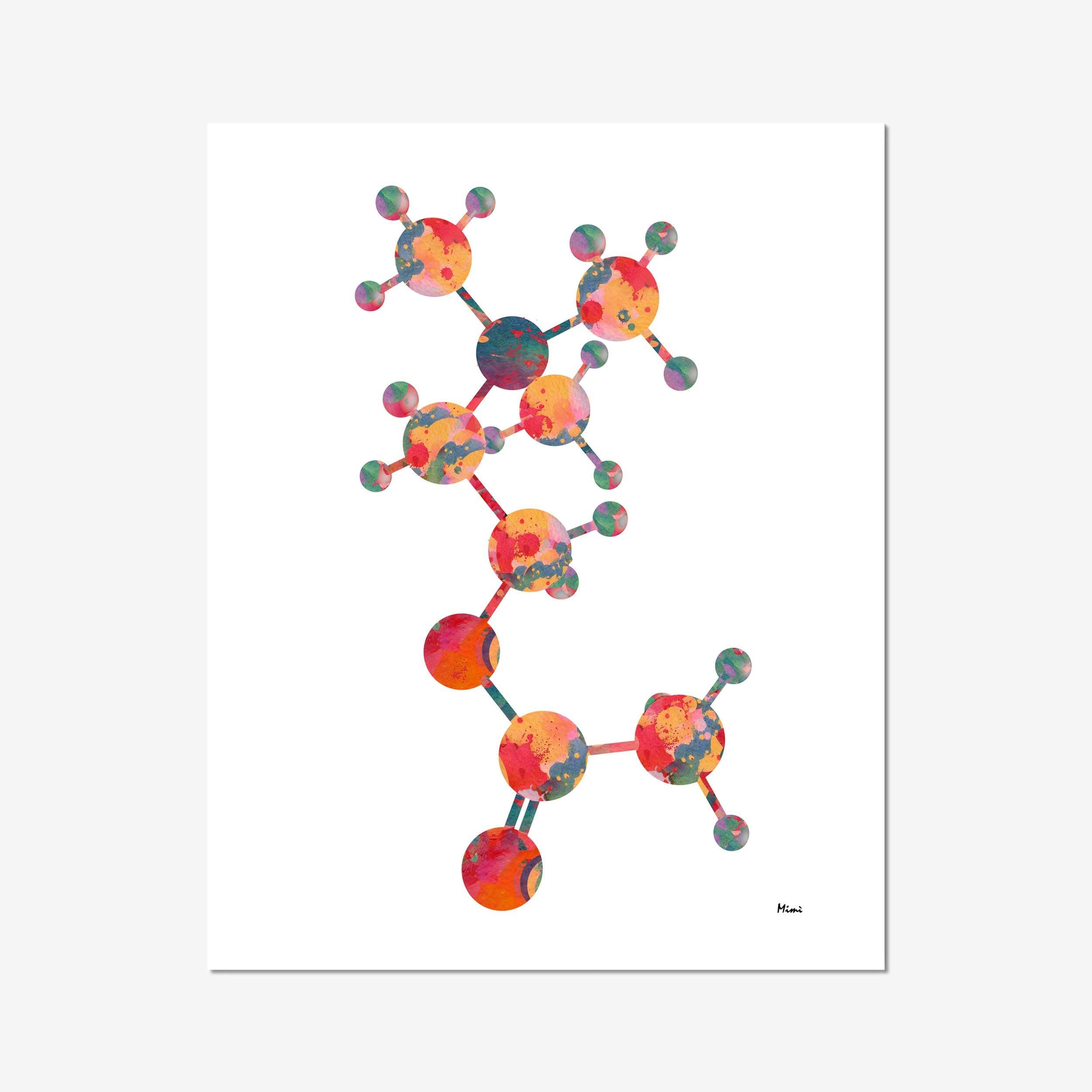 Acetylcholine Molecule Structure Science Art Print