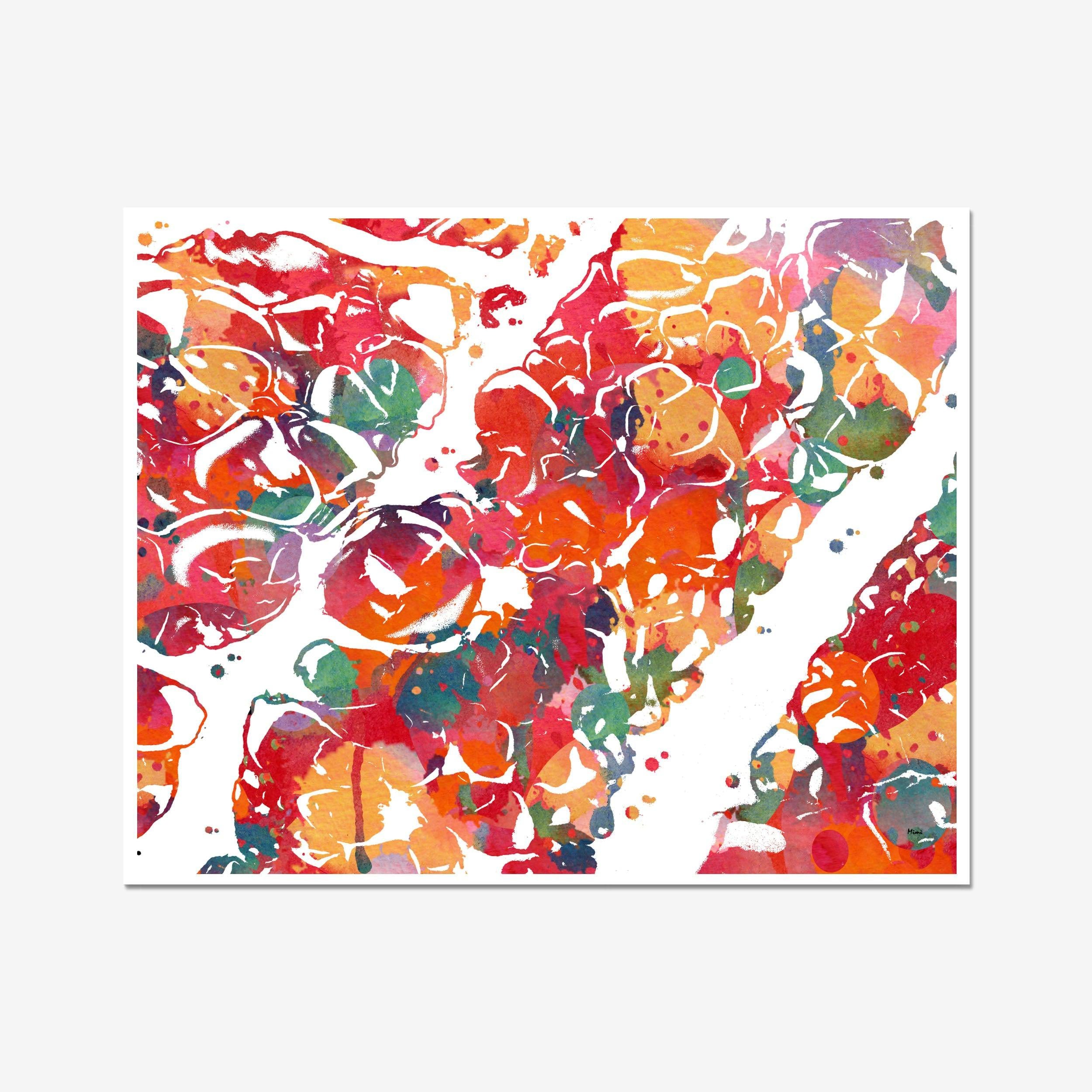 Adrenal Histology watercolor art print for endocrinology clinic wall decor