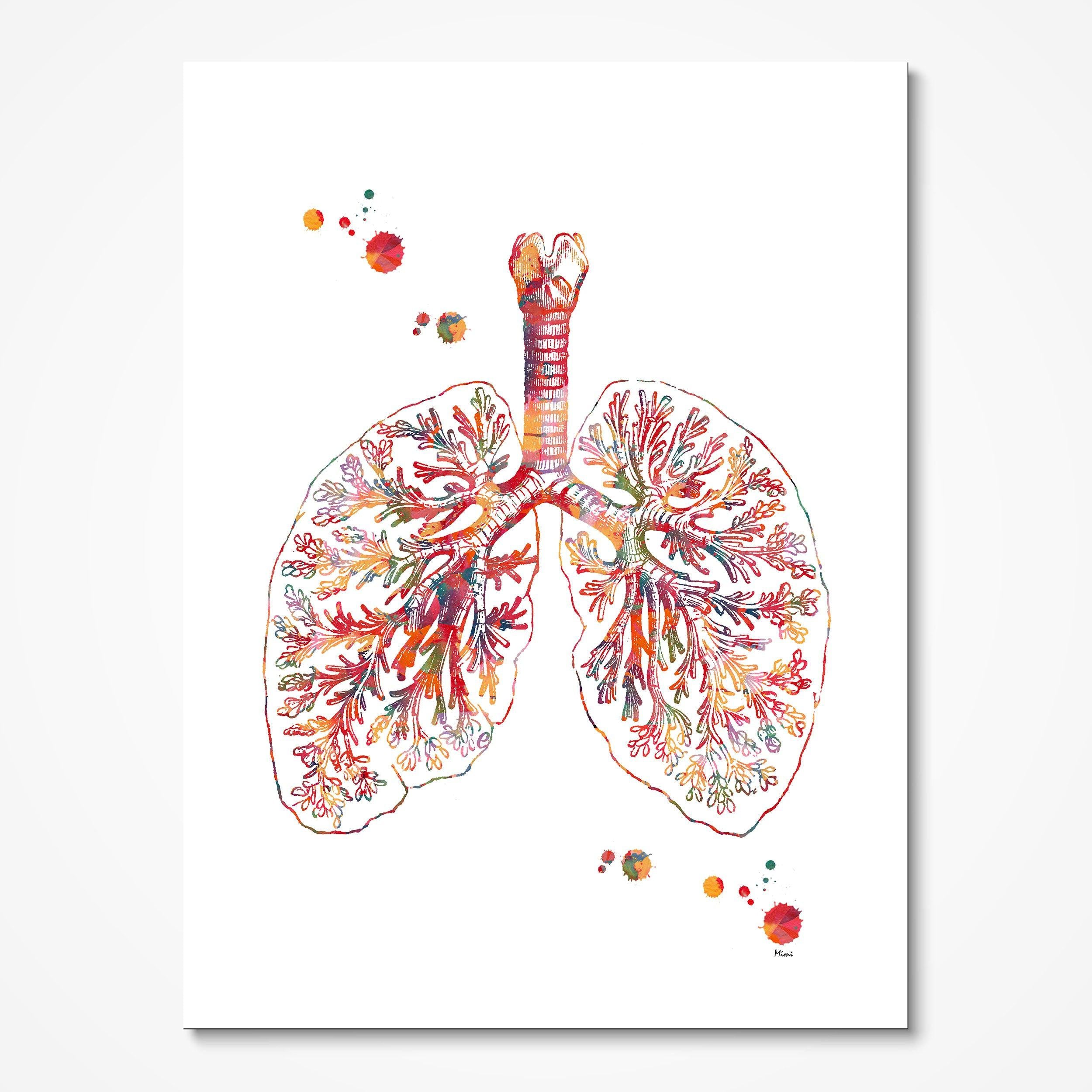 Anatomical Lungs Abstract Anatomy Art Print