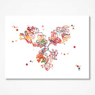 Antibody Immunoglobulin G (IgG) Science Art Print