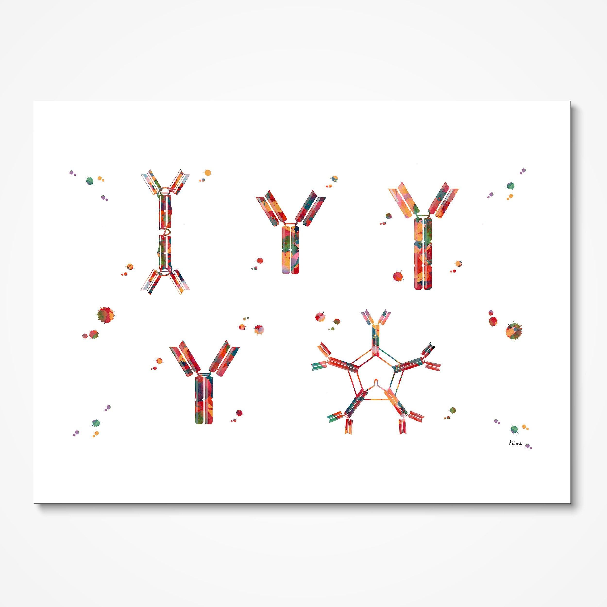 Antigens Antibody Reaction Science Art Print