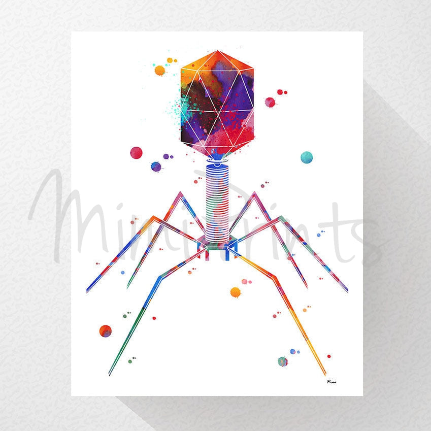 Bacteriophage Science Art Print