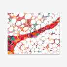 Bone Marrow Watercolor Anatomy Art Print