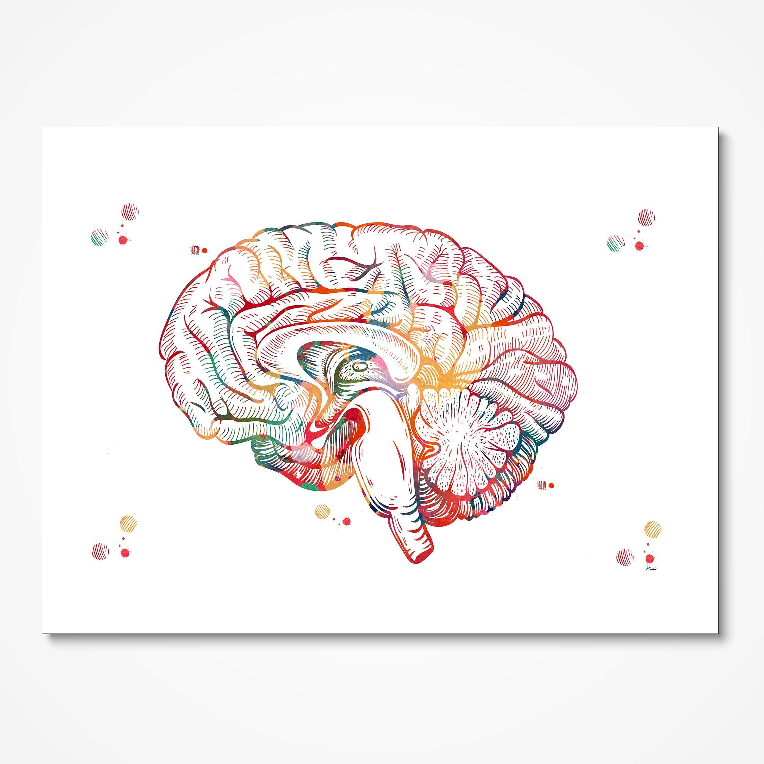 Brain Cross-Section Sagittal View Anatomy Print