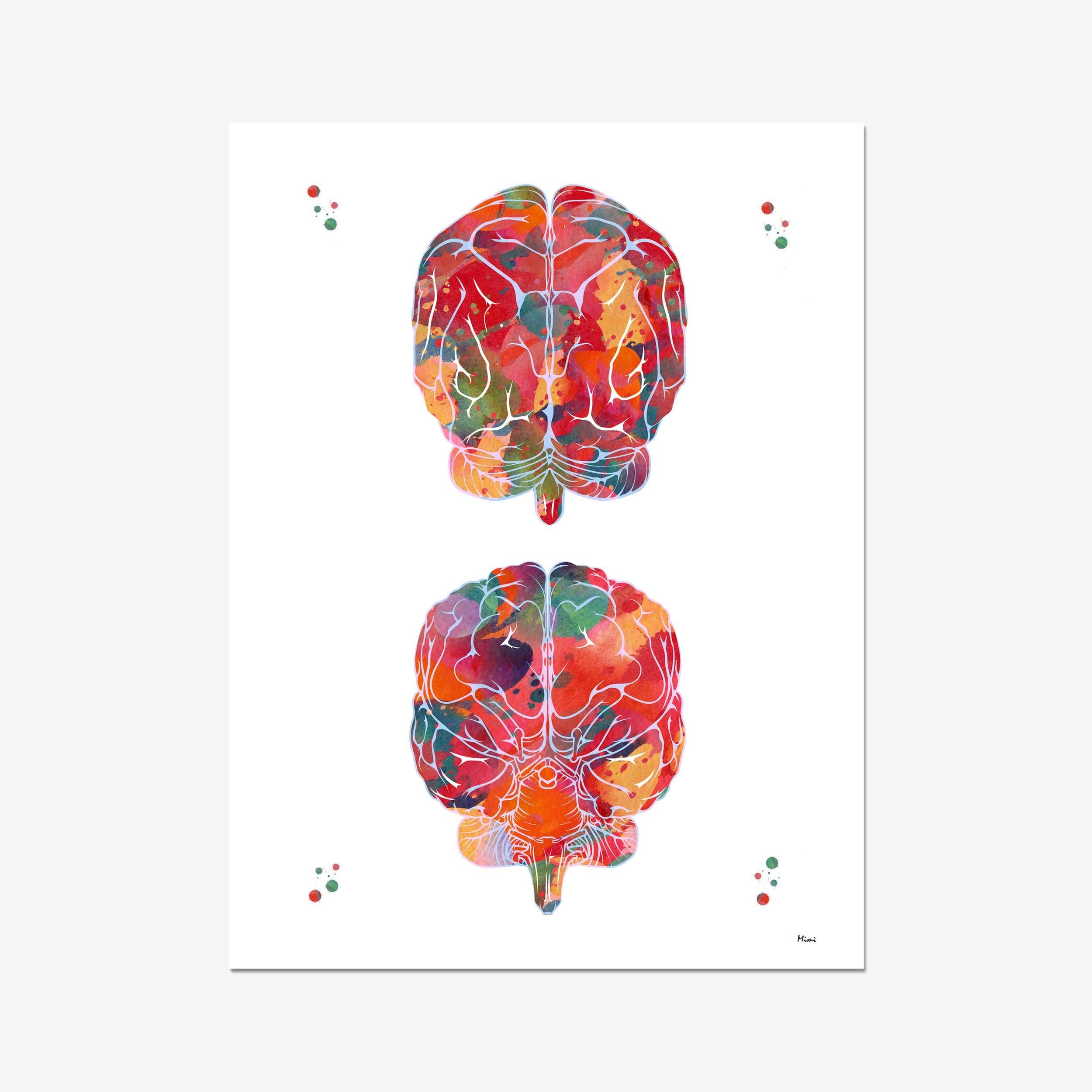 Brain Front And Back View Abstract Anatomy Print
