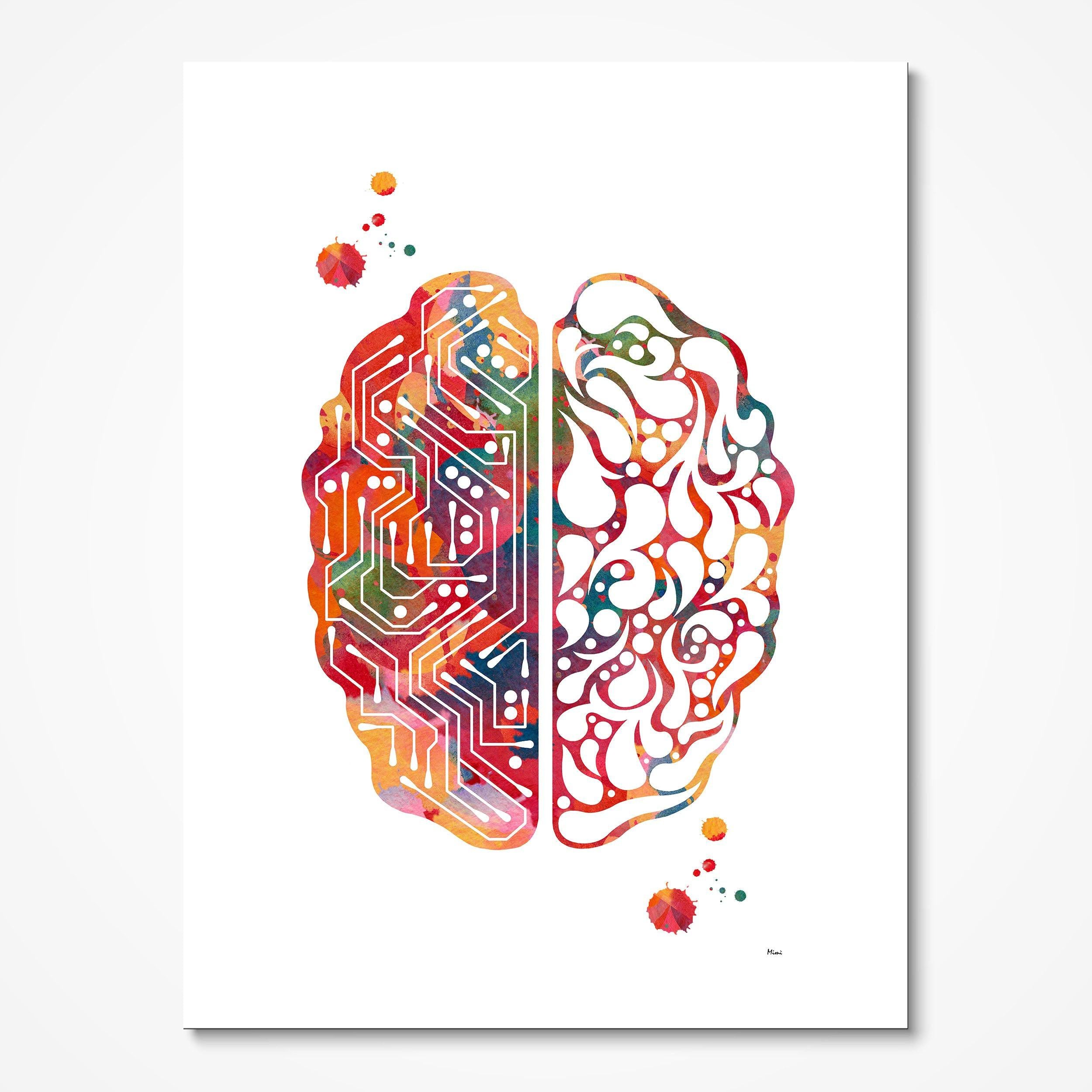 Brain Functions Watercolor Anatomy Print