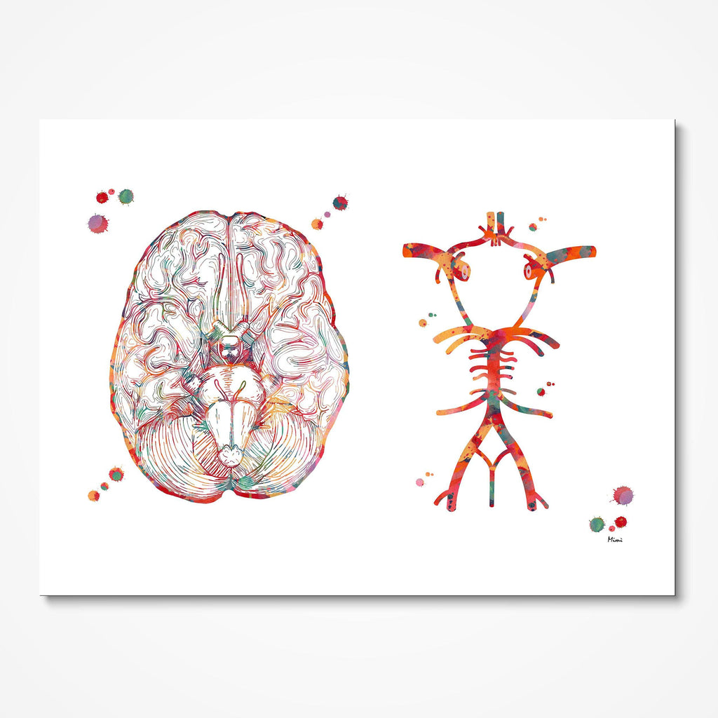 Circle Of Willis Antomy Art Print Brain Art Poster Medical Clinic Wall Decor