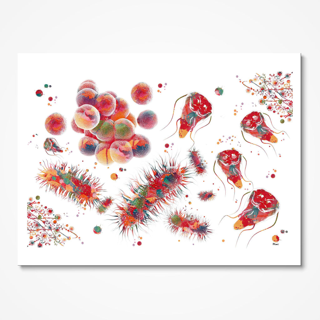 Cytology Science Art Print Bacteria Fungi Parasites Watercolor Giardia E-Coli Staph Aureus Histoplasma Poster