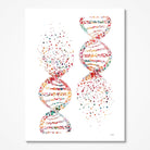 DNA Molecule Science Art Print Genetics Art illustration