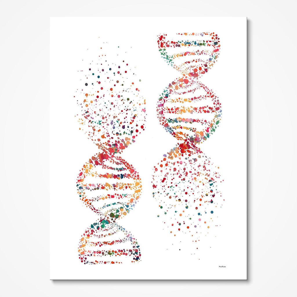 DNA Molecule Science Art Print Genetics Art illustration