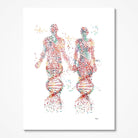 DNA Science Print Abstract Poster Of Male And Female Body Made From DNA Molecules