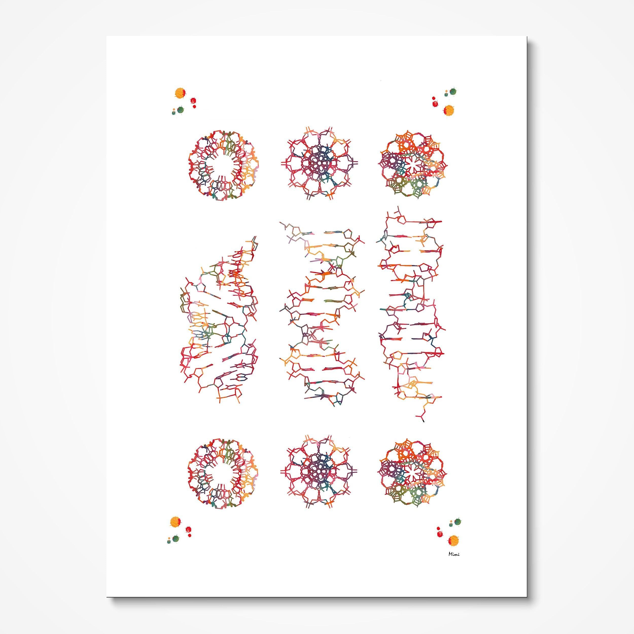 Dna Helix Conformation Science Art Genetics Print Dna A-form B-form and Z-form of DNA Poster