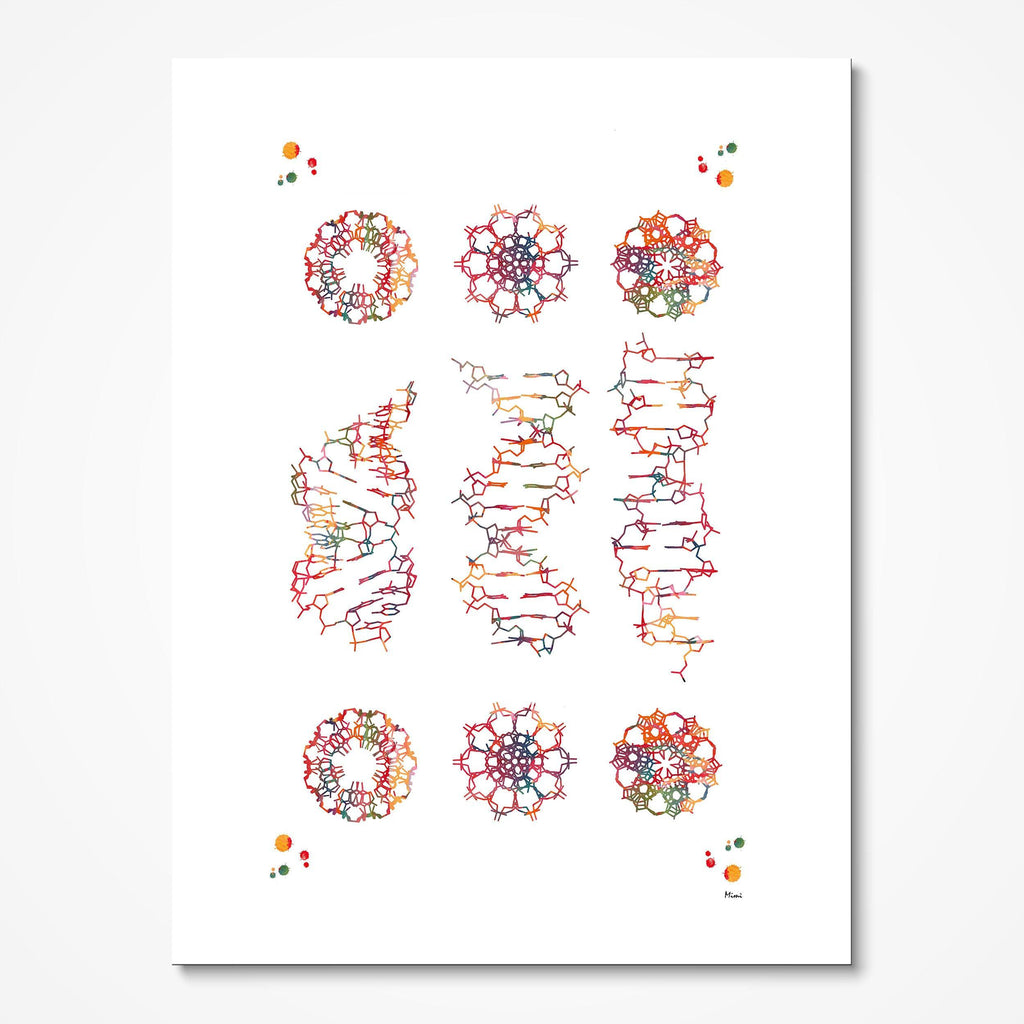 Dna Helix Conformation Science Art Genetics Print Dna A-form B-form and Z-form of DNA Poster