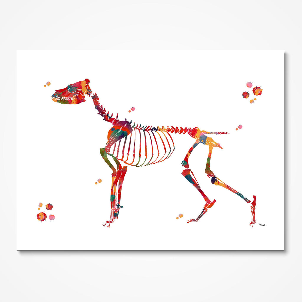 Dog Skeletal System Anatomy Print Veterinary Clinic Wall decor Dog Anatomy Poster