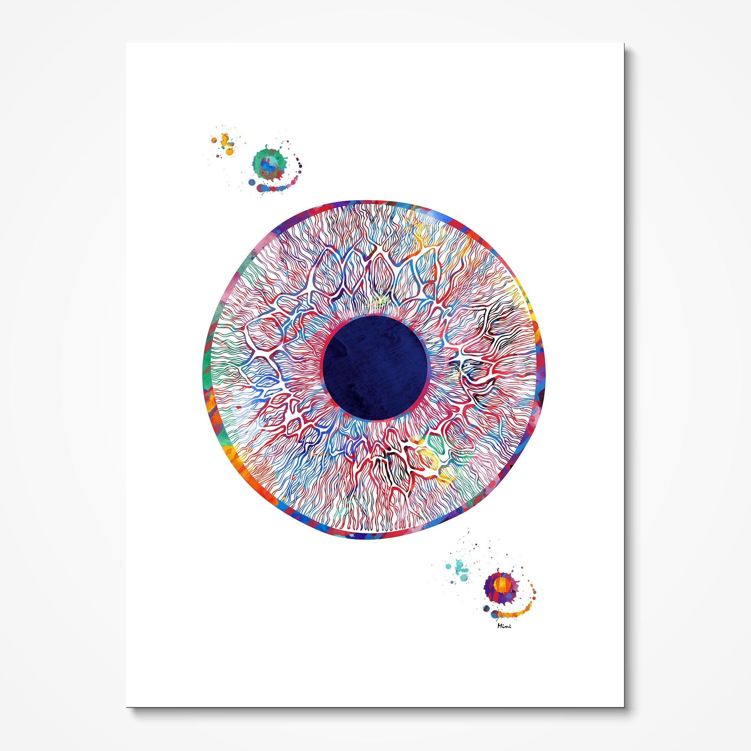 Eye Anatomy Print Human Iris and Pupil Structure Poster