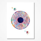 Eye Anatomy Print Human Iris and Pupil Structure Poster