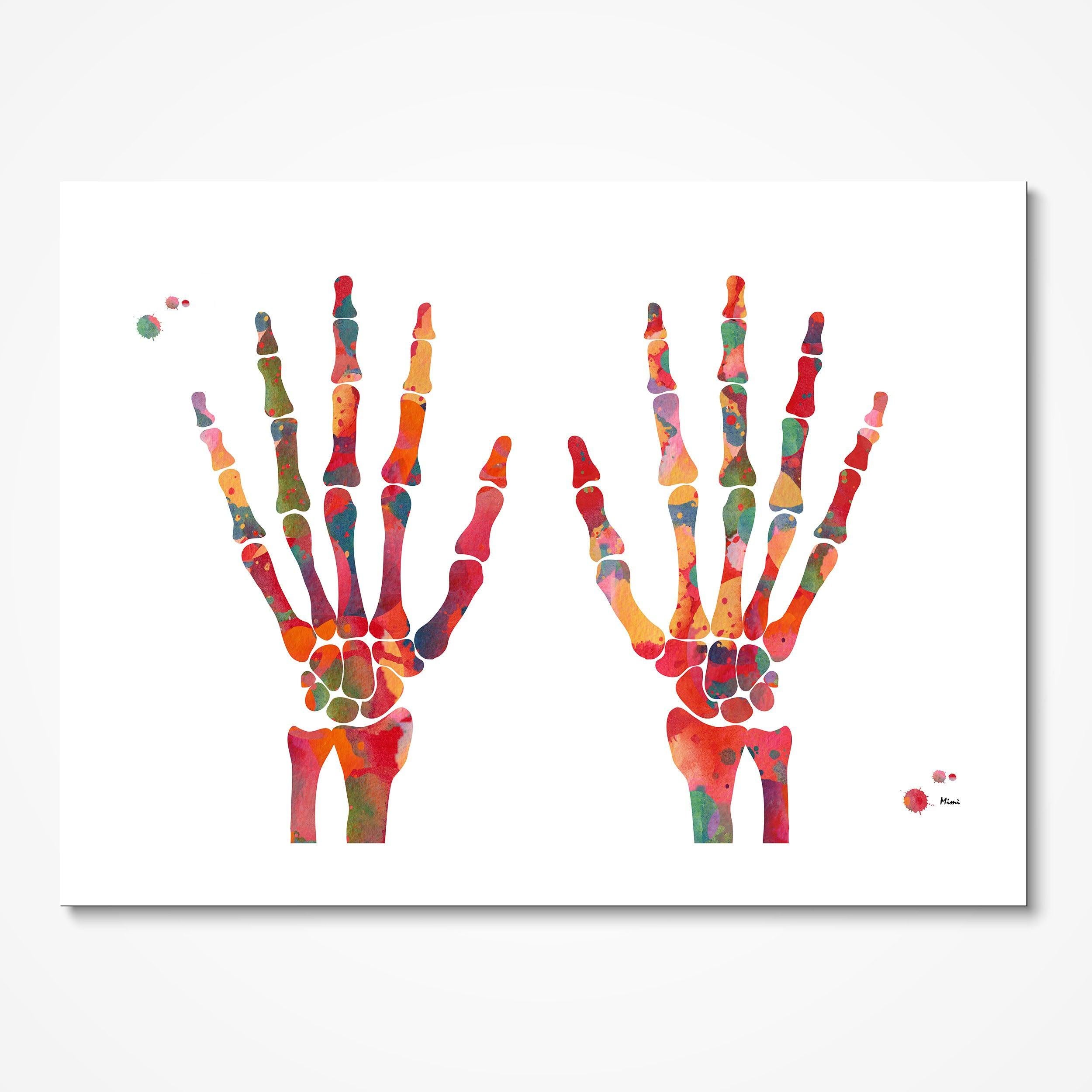 Hand Bones And Joints Anatomy Print Skeletal System Poster Structure Of The Human Hand