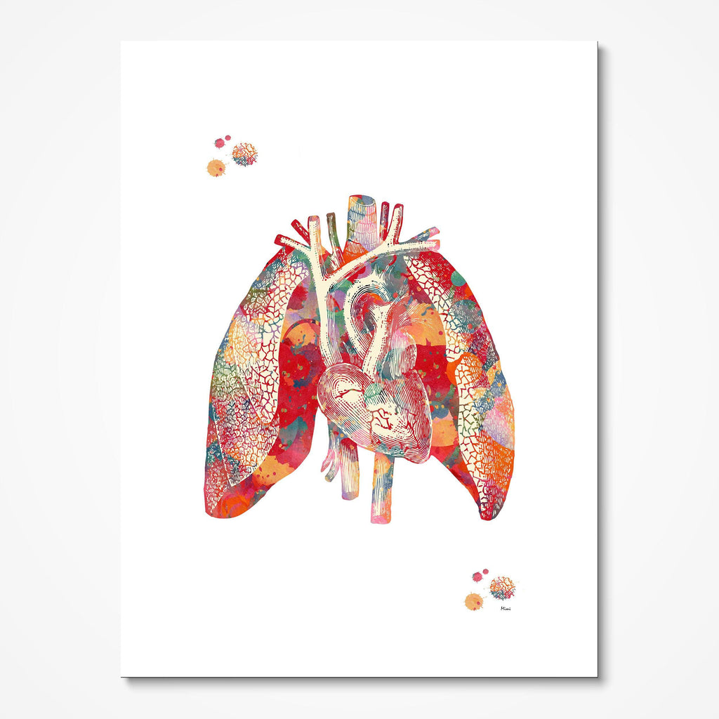 Heart and Lungs Anatomy Print Cardiovascular And Respiratory System Poster Medical Clinic Wall Decor