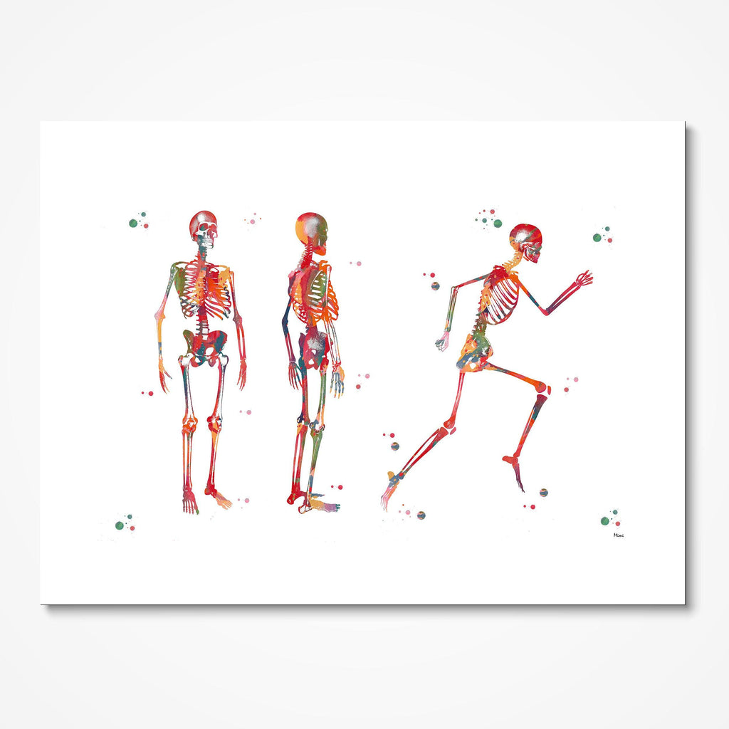 Human Body Running Skeleton Anatomy Print Skeletal System Structure Medical Clinic Wall Decor