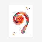 Human Ear Cochlea Anatomy Art Watercolor Print