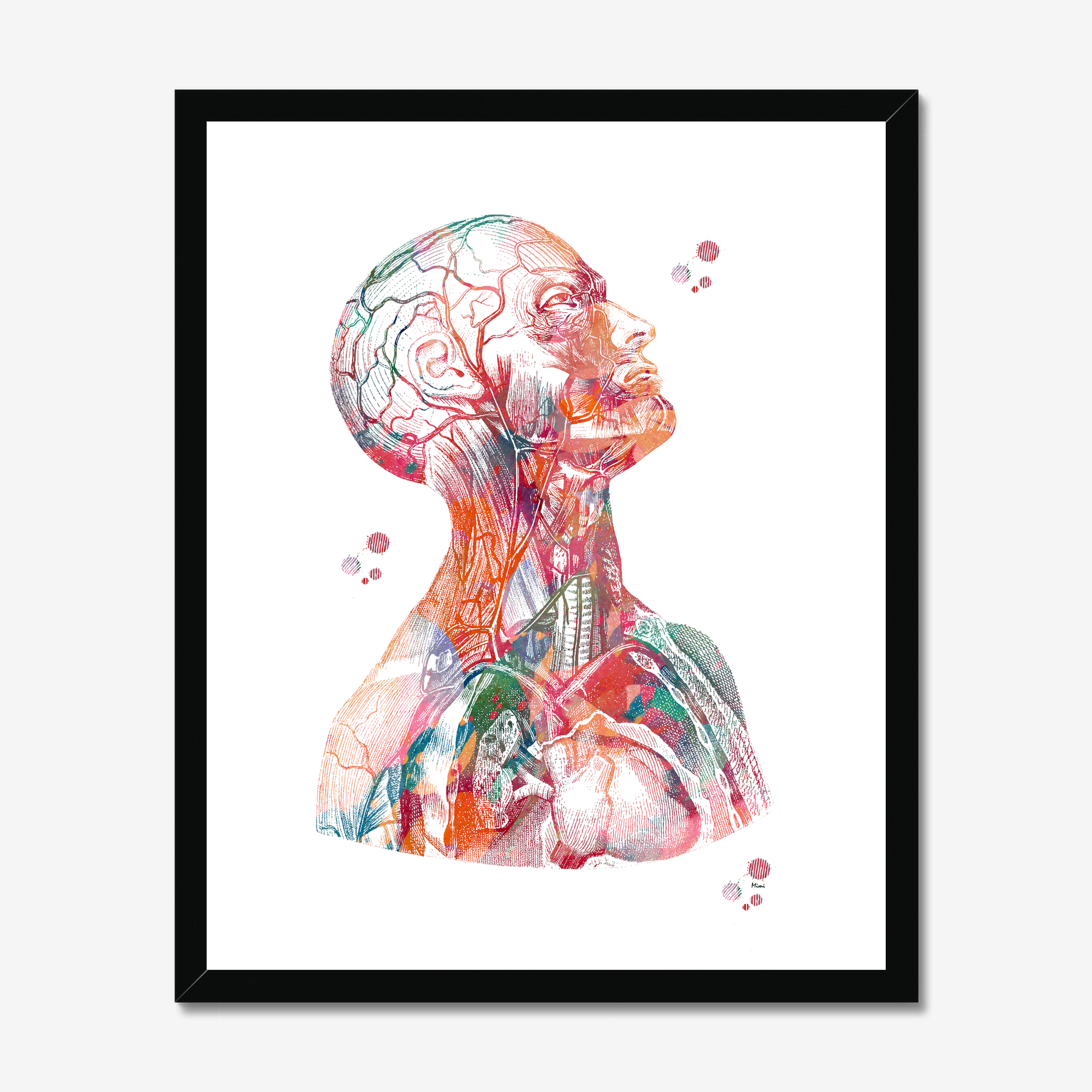 Human Head And Torso Anatomy Art Print Medical Clinic Wall Decor