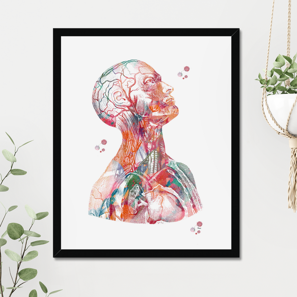Human Head And Torso Anatomy Art Print Medical Clinic Wall Decor