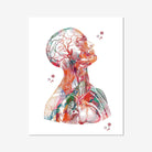 Human Head And Torso Anatomy Art Print Medical Clinic Wall Decor