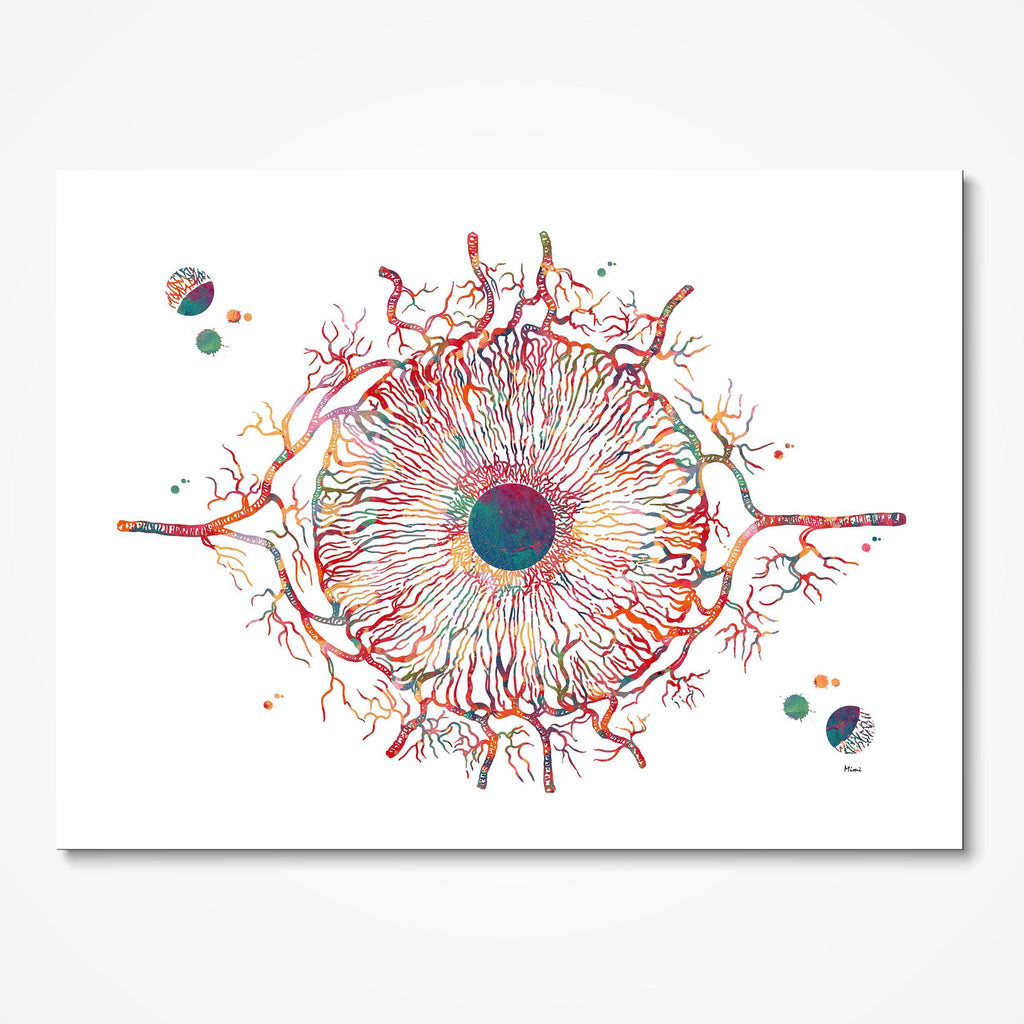 Iris Of The Eye Anatomy Print Iris Structure With Blood Vessels Optometry Ophthalmology Clinic Wall Decor