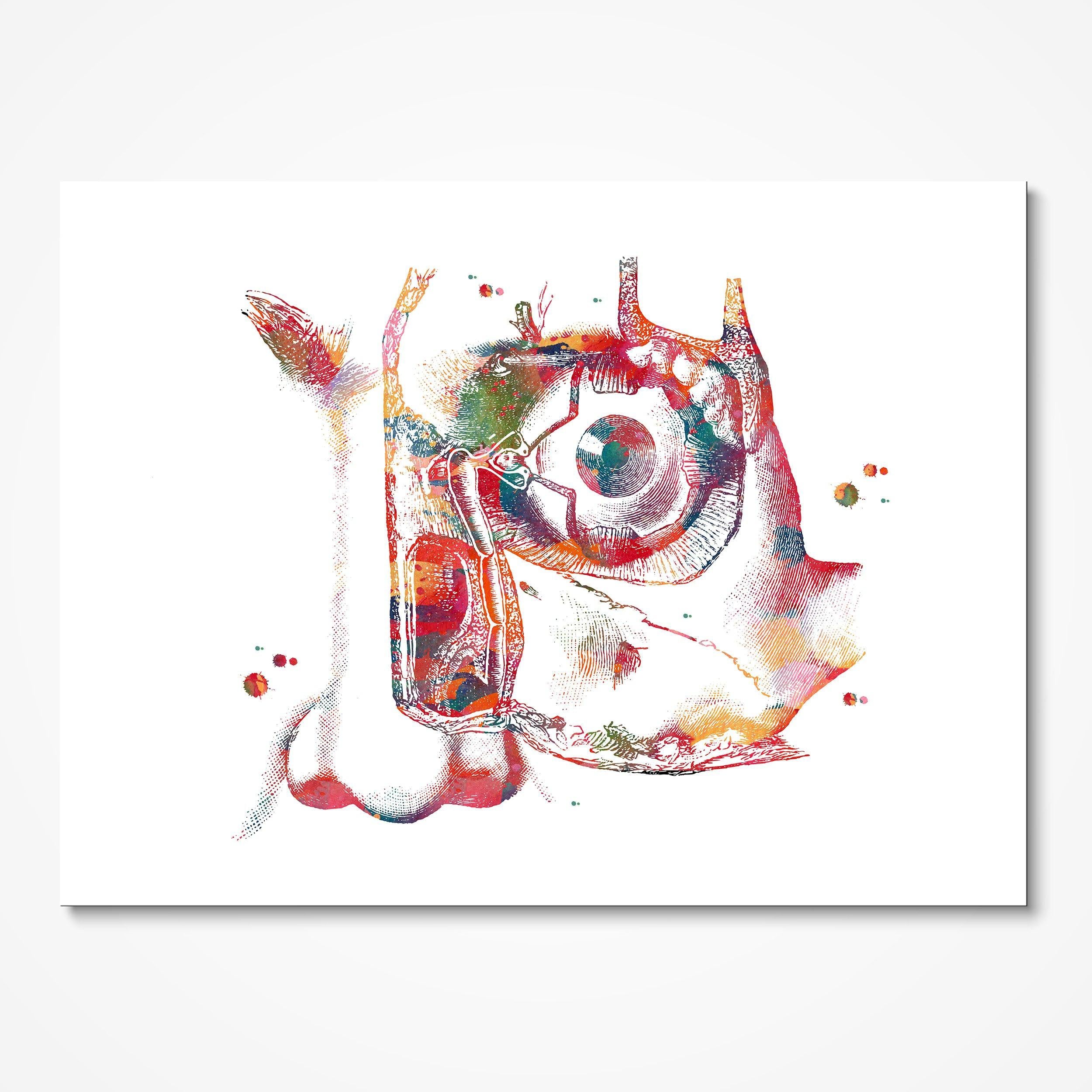 Lacrimal Apparatus Eye Anatomy Print Lacrimal Gland Watercolor Optometry Ophthalmology Eye Medical Illustration